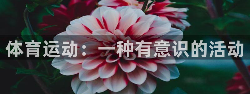 vsport体育官网：体育运动：一种有意识的活动