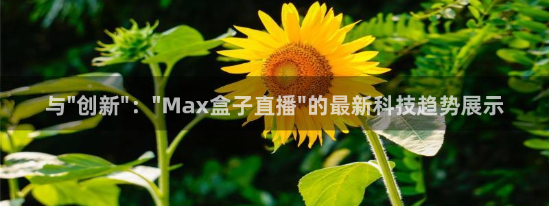 体育直播so米：与\