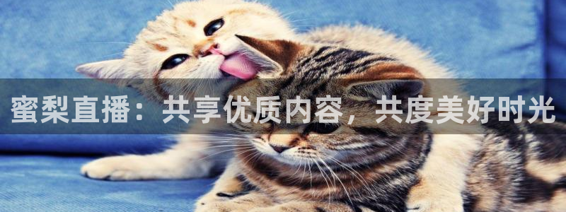 so米nba篮球直播：蜜梨直播：共享优质内容，共度美好时光