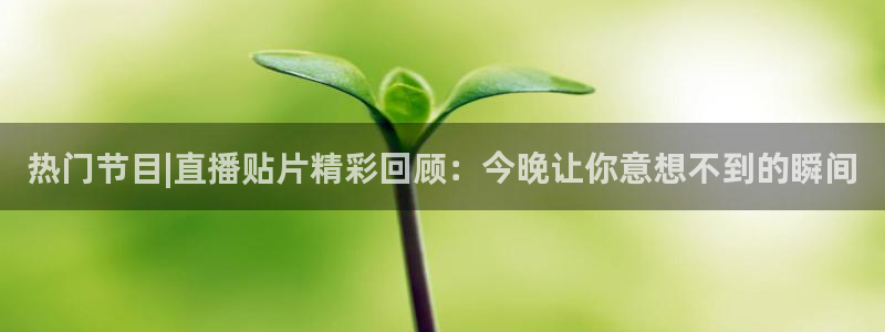 新闻图片